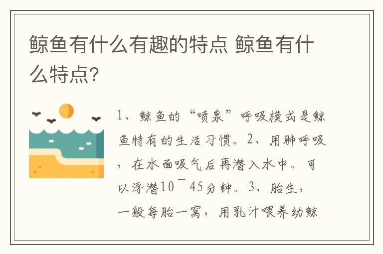 鲸鱼有什么有趣的特点 鲸鱼有什么特点?