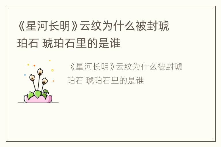 《星河长明》云纹为什么被封琥珀石 琥珀石里的是谁