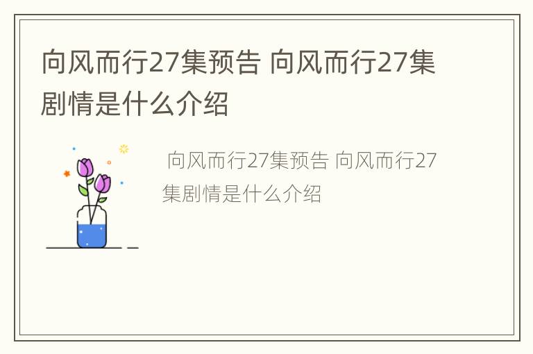 向风而行27集预告 向风而行27集剧情是什么介绍