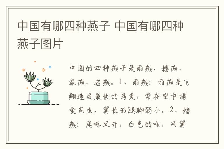 中国有哪四种燕子 中国有哪四种燕子图片
