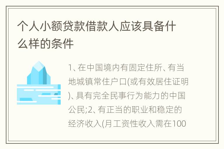 个人小额贷款借款人应该具备什么样的条件
