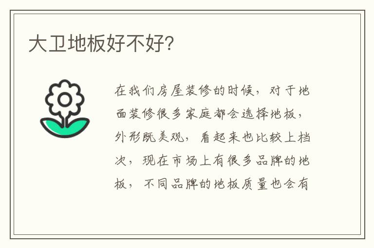大卫地板好不好？