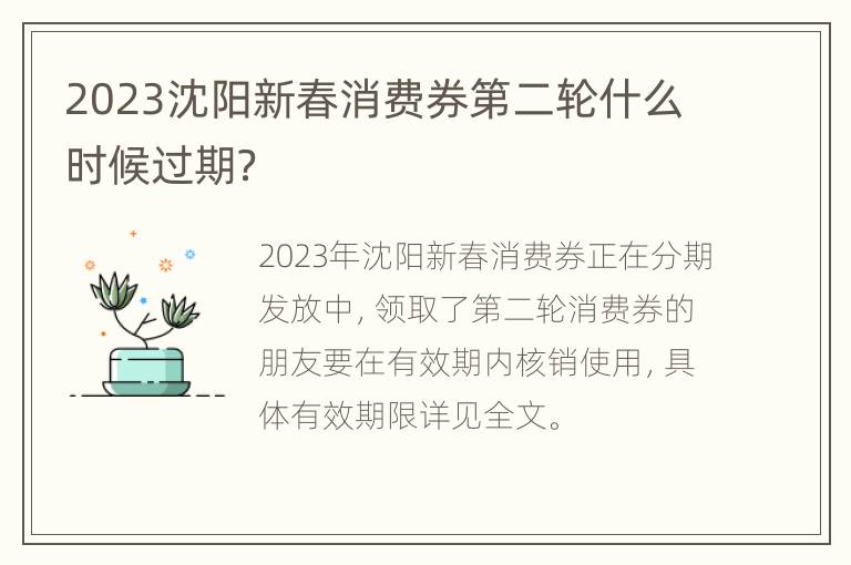 2023沈阳新春消费券第二轮什么时候过期？