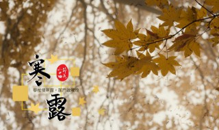 寒露节气怎么养生 教你寒露时节如何养生