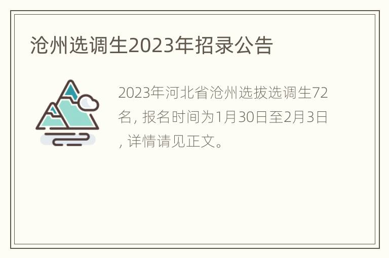 沧州选调生2023年招录公告