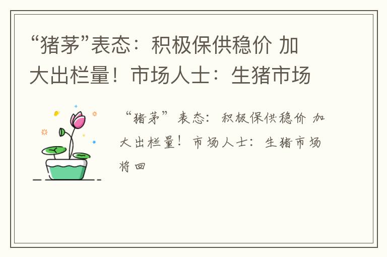 “猪茅”表态：积极保供稳价 加大出栏量！市场人士：生猪市场将回