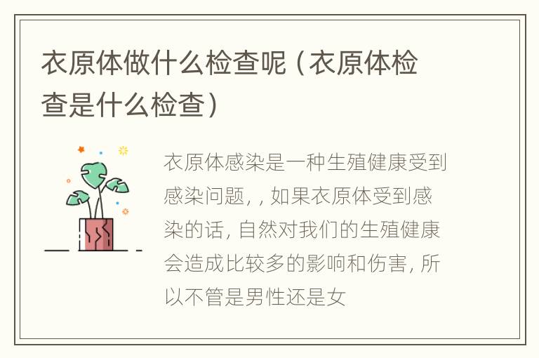 衣原体做什么检查呢（衣原体检查是什么检查）