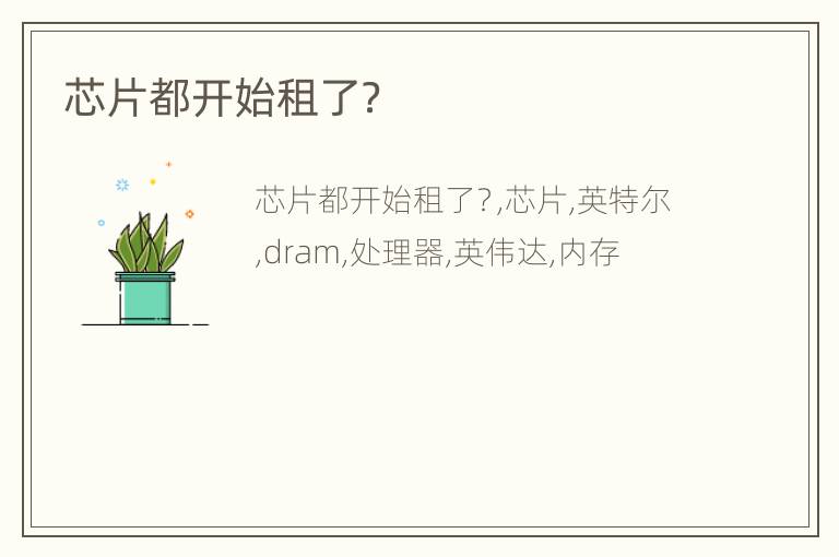 芯片都开始租了？