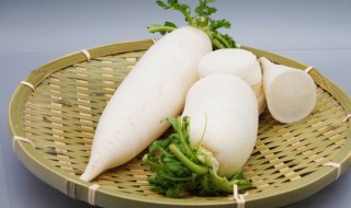 白萝卜冰箱保存好吗 白萝卜适合放到冰箱存放吗