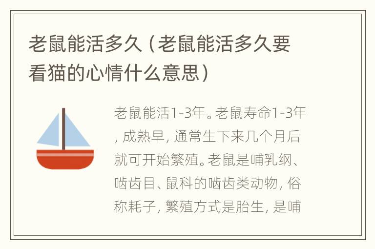 老鼠能活多久（老鼠能活多久要看猫的心情什么意思）