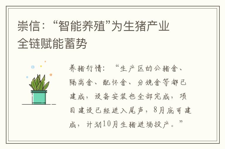 崇信：“智能养殖”为生猪产业全链赋能蓄势