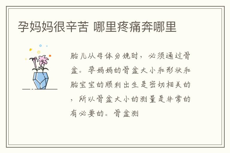 孕妈妈很辛苦 哪里疼痛奔哪里