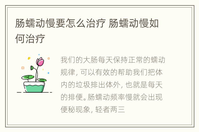 肠蠕动慢要怎么治疗 肠蠕动慢如何治疗