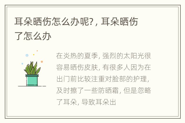 耳朵晒伤怎么办呢？，耳朵晒伤了怎么办
