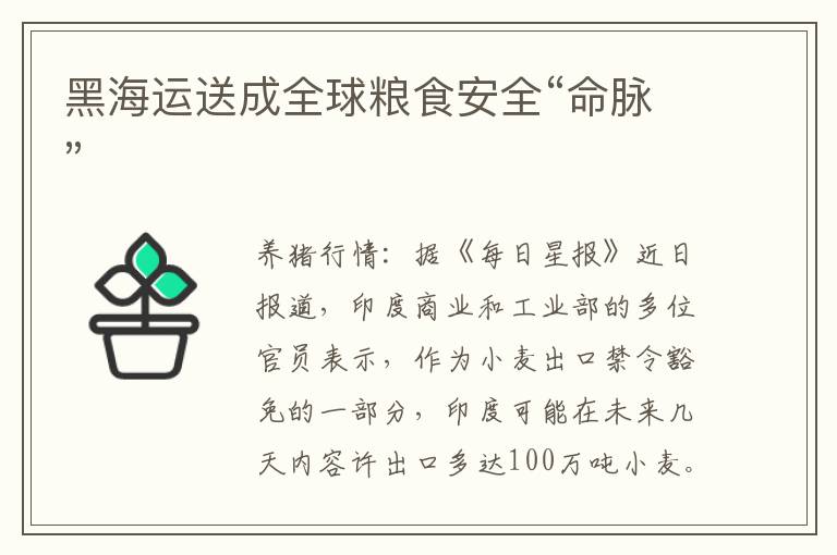 黑海运送成全球粮食安全“命脉”