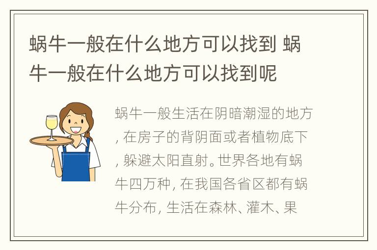 蜗牛一般在什么地方可以找到 蜗牛一般在什么地方可以找到呢