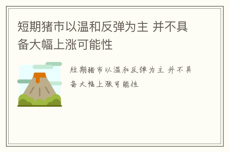 短期猪市以温和反弹为主 并不具备大幅上涨可能性