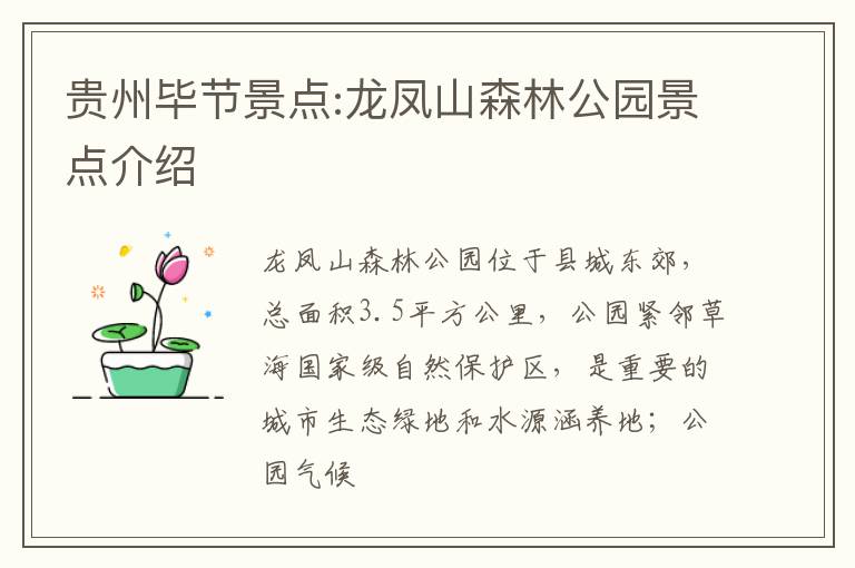 贵州毕节景点:龙凤山森林公园景点介绍