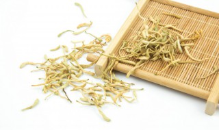 一天中什么时候喝金银花水 每天什么时间喝金银花水好