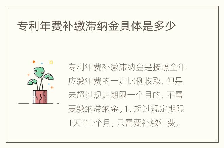 专利年费补缴滞纳金具体是多少