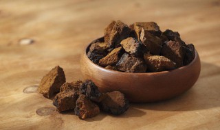 桦树茸正确泡水喝方法 怎么用桦树茸正确泡水喝