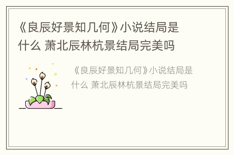 《良辰好景知几何》小说结局是什么 萧北辰林杭景结局完美吗