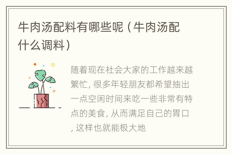 牛肉汤配料有哪些呢（牛肉汤配什么调料）