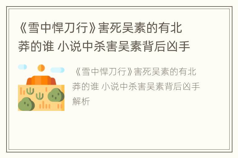 《雪中悍刀行》害死吴素的有北莽的谁 小说中杀害吴素背后凶手解析