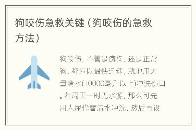 狗咬伤急救关键（狗咬伤的急救方法）