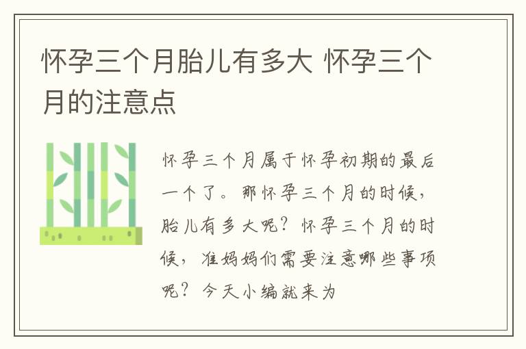 怀孕三个月胎儿有多大 怀孕三个月的注意点