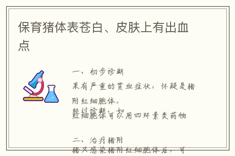 保育猪体表苍白、皮肤上有出血点