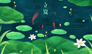 立夏过后如何养生 怎么在立夏之后养生