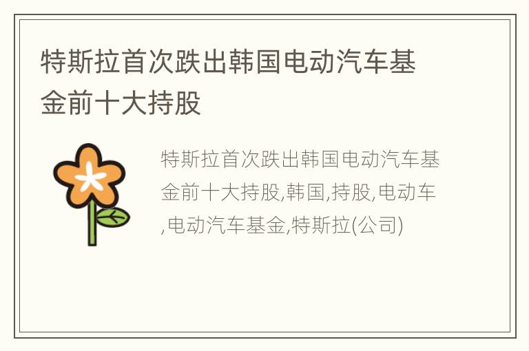 特斯拉首次跌出韩国电动汽车基金前十大持股