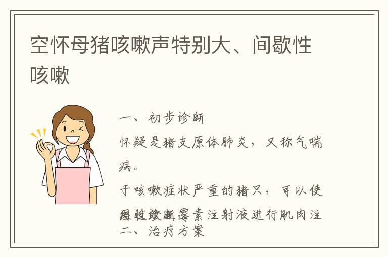 空怀母猪咳嗽声特别大、间歇性咳嗽