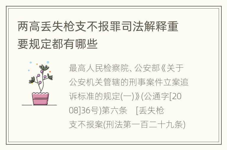 两高丢失枪支不报罪司法解释重要规定都有哪些