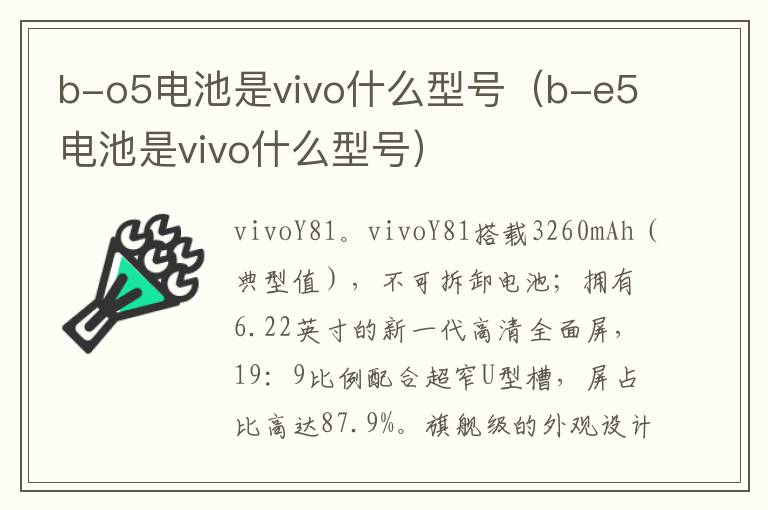 b-o5电池是vivo什么型号（b-e5电池是vivo什么型号）
