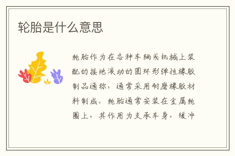 轮胎是什么意思