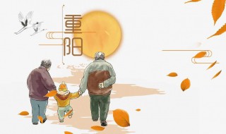 重阳节的由来20字 重阳节的由来是什么