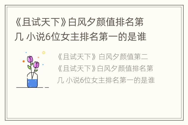《且试天下》白风夕颜值排名第几 小说6位女主排名第一的是谁