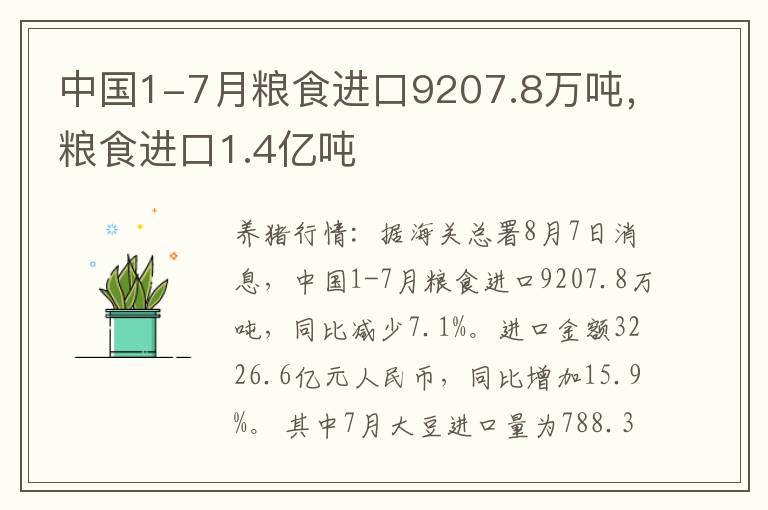 中国1-7月粮食进口9207.8万吨，粮食进口1.4亿吨
