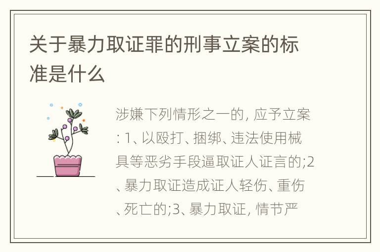 关于暴力取证罪的刑事立案的标准是什么
