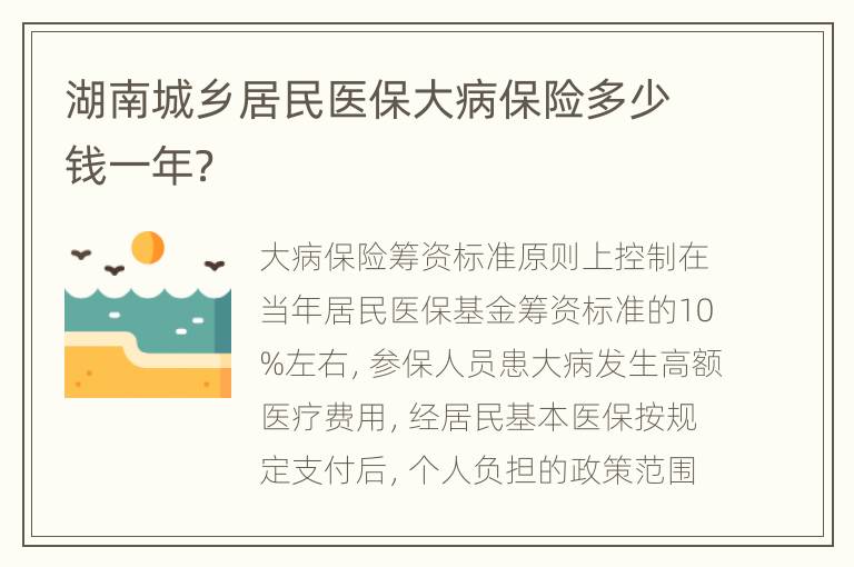 湖南城乡居民医保大病保险多少钱一年？