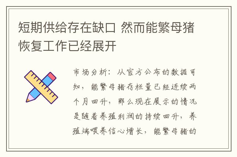 短期供给存在缺口 然而能繁母猪恢复工作已经展开