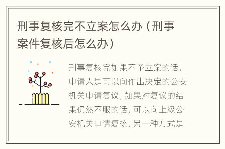 刑事复核完不立案怎么办（刑事案件复核后怎么办）
