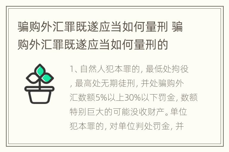 骗购外汇罪既遂应当如何量刑 骗购外汇罪既遂应当如何量刑的