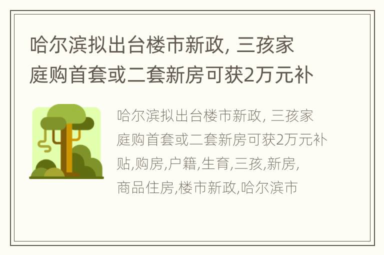 哈尔滨拟出台楼市新政，三孩家庭购首套或二套新房可获2万元补贴