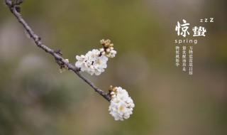 二十四节气的来历 二十四节气的来历和意义
