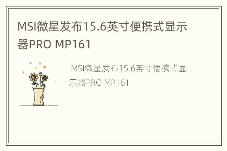MSI微星发布15.6英寸便携式显示器PRO MP161