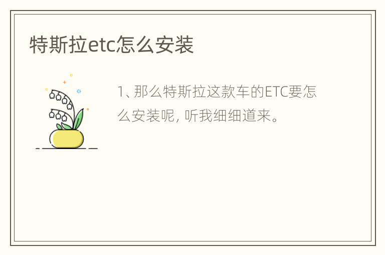 特斯拉etc怎么安装