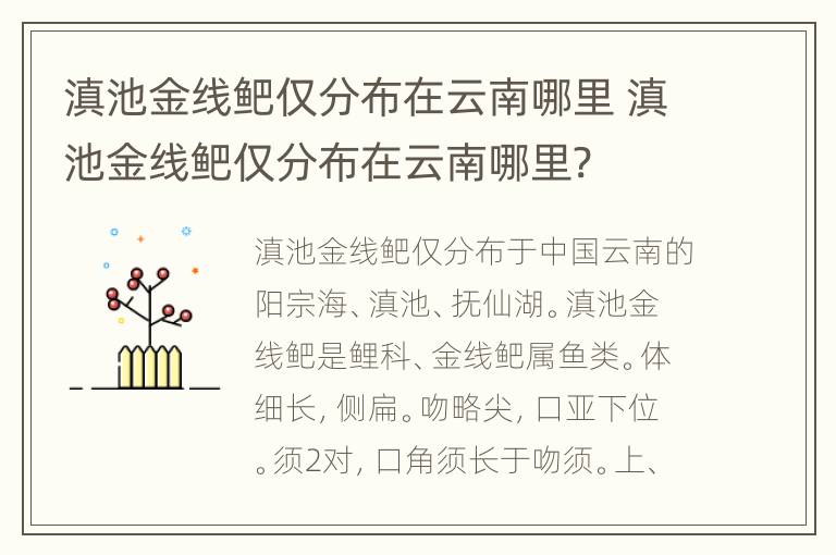 滇池金线鲃仅分布在云南哪里 滇池金线鲃仅分布在云南哪里?